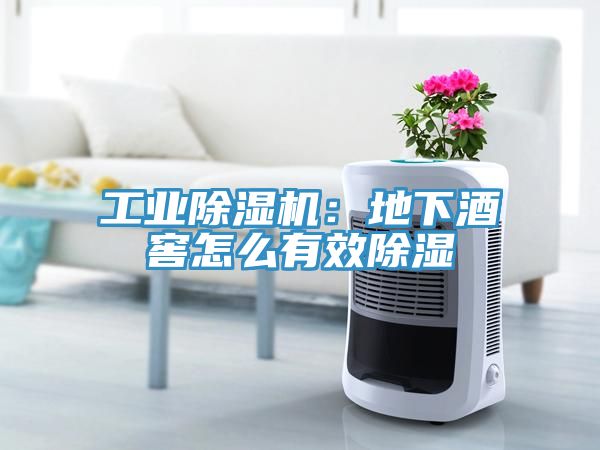 工業除濕機：地下酒窖怎么有效除濕