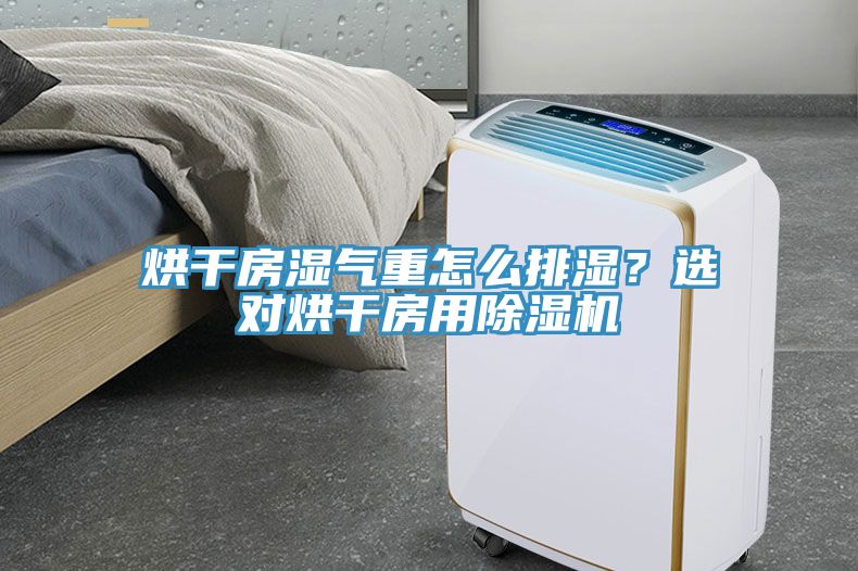烘干房濕氣重怎么排濕？選對烘干房用除濕機