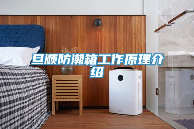 旦順?lè)莱毕涔ぷ髟斫榻B