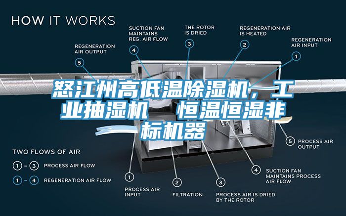 怒江州高低溫除濕機，工業抽濕機  恒溫恒濕非標機器