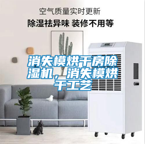 消失模烘干房除濕機(jī)，消失模烘干工藝