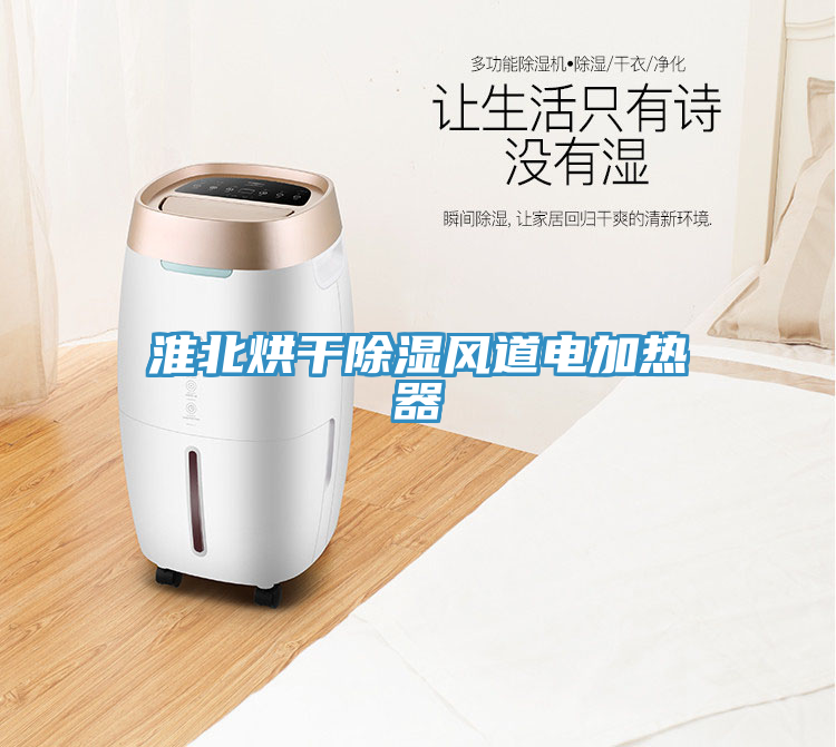淮北烘干除濕風道電加熱器