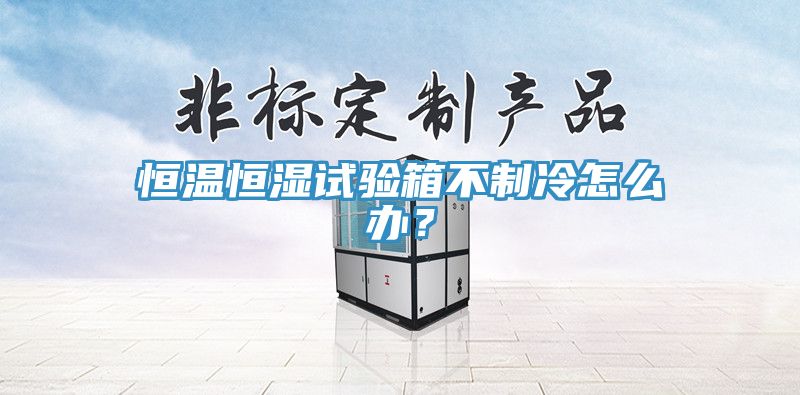 恒溫恒濕試驗箱不制冷怎么辦？