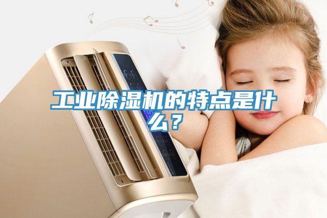 工業除濕機的特點是什么？