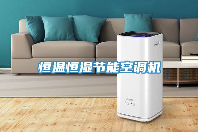 恒溫恒濕節能空調機