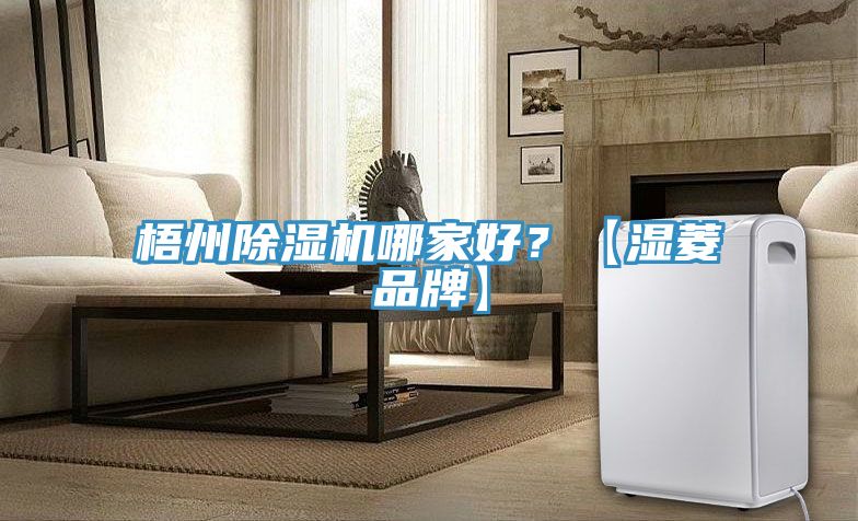 梧州除濕機哪家好？【濕菱品牌】