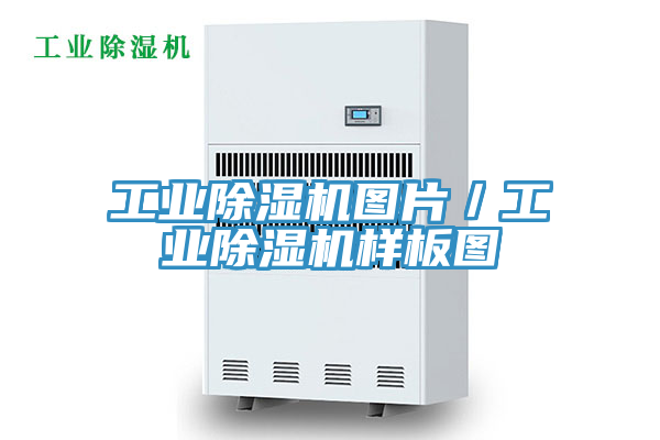 工業除濕機圖片／工業除濕機樣板圖