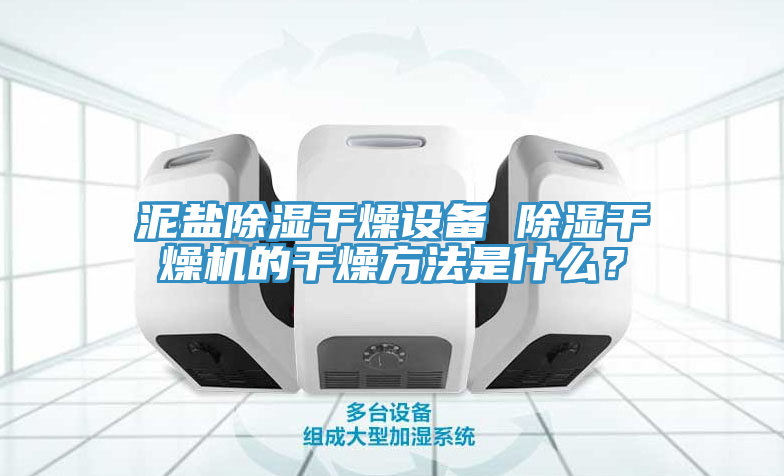 泥鹽除濕干燥設備 除濕干燥機的干燥方法是什么？