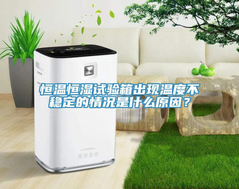 恒溫恒濕試驗箱出現溫度不穩定的情況是什么原因?