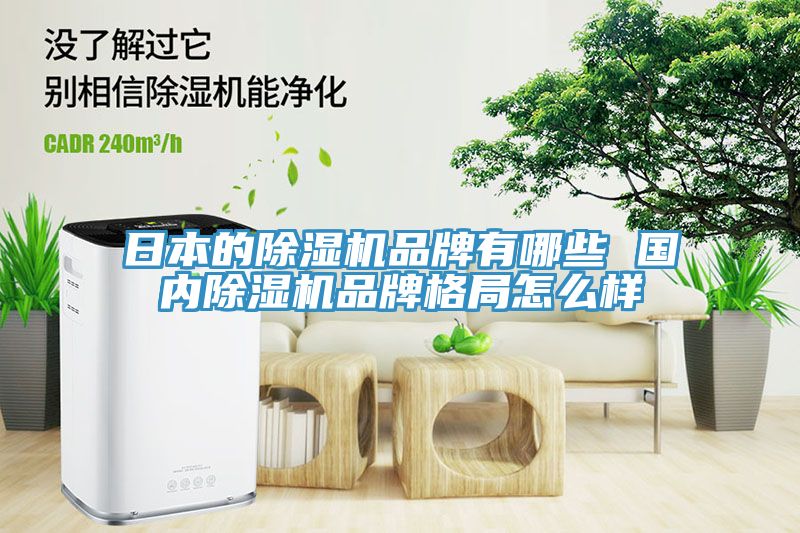 日本的除濕機品牌有哪些 國內除濕機品牌格局怎么樣