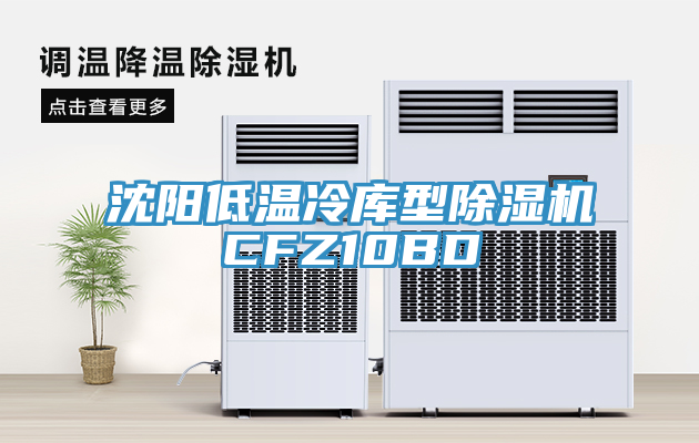 沈陽低溫冷庫(kù)型除濕機(jī)CFZ10BD