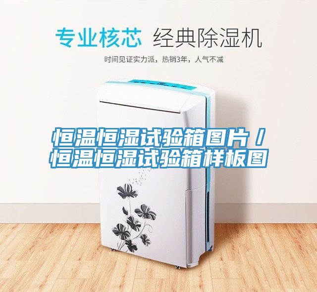 恒溫恒濕試驗箱圖片/恒溫恒濕試驗箱樣板圖