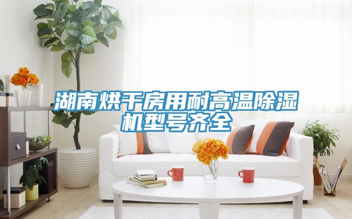 湖南烘干房用耐高溫除濕機(jī)型號齊全