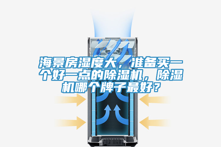 海景房濕度大，準備買一個好一點的除濕機，除濕機哪個牌子最好？