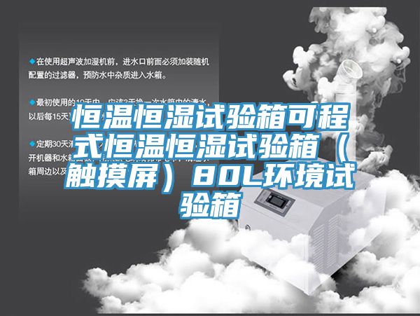 恒溫恒濕試驗(yàn)箱可程式恒溫恒濕試驗(yàn)箱(觸摸屏)80L環(huán)境試驗(yàn)箱