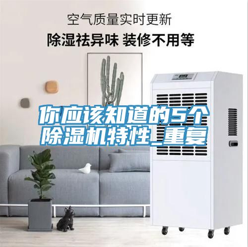 你應該知道的5個除濕機特性_重復