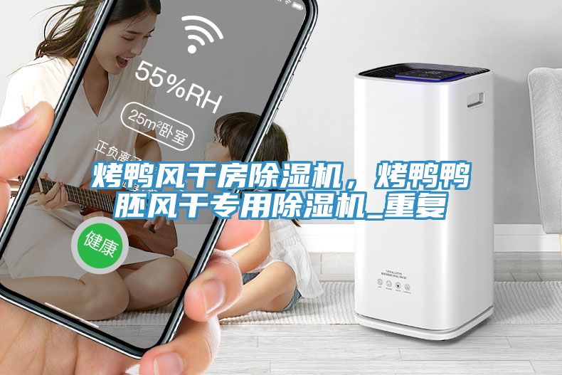 烤鴨風干房除濕機，烤鴨鴨胚風干專用除濕機_重復