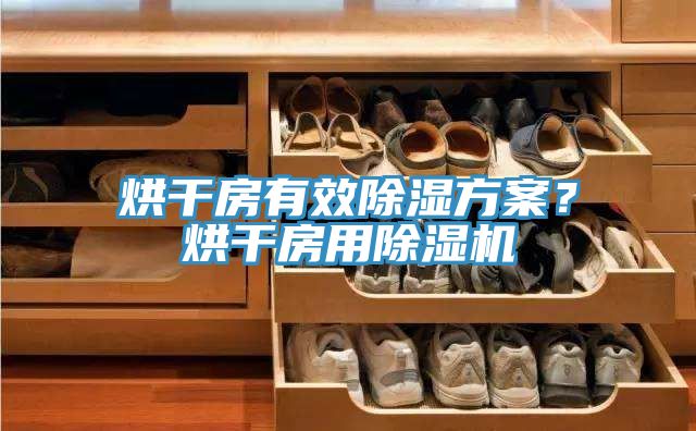 烘干房有效除濕方案？烘干房用除濕機