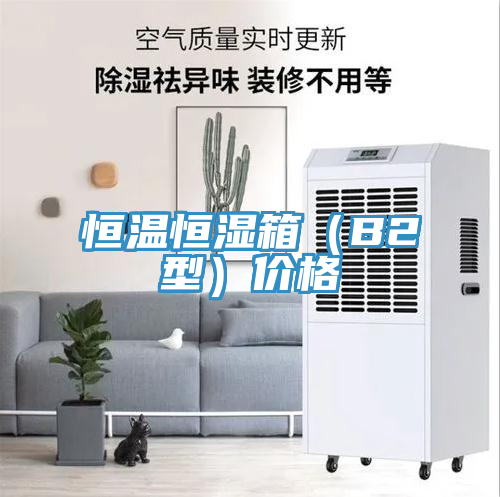 恒溫恒濕箱(B2型)價格