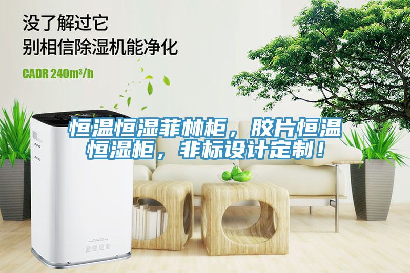 恒溫恒濕菲林柜，膠片恒溫恒濕柜，非標設計定制！