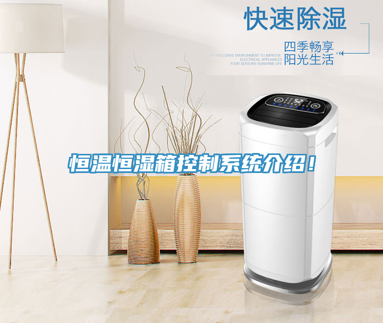 恒溫恒濕箱控制系統介紹!