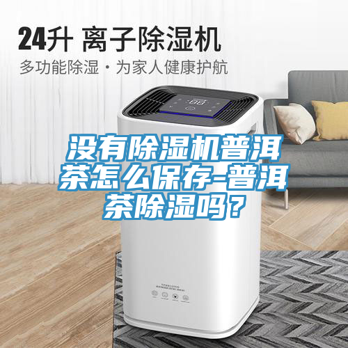 沒有除濕機普洱茶怎么保存-普洱茶除濕嗎？
