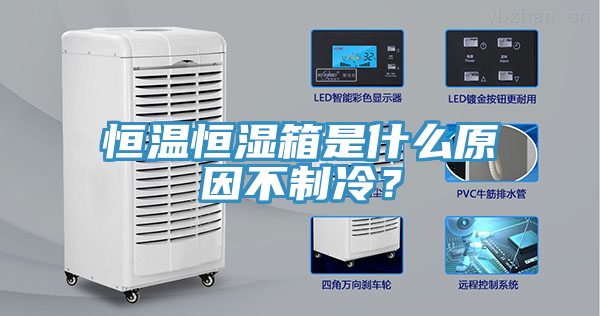 恒溫恒濕箱是什么原因不制冷?
