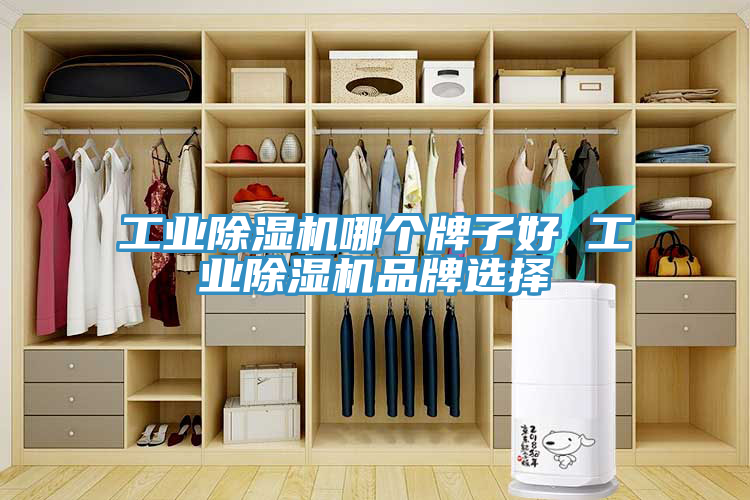 工業除濕機哪個牌子好 工業除濕機品牌選擇