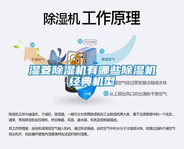 濕菱除濕機有哪些除濕機經典機型