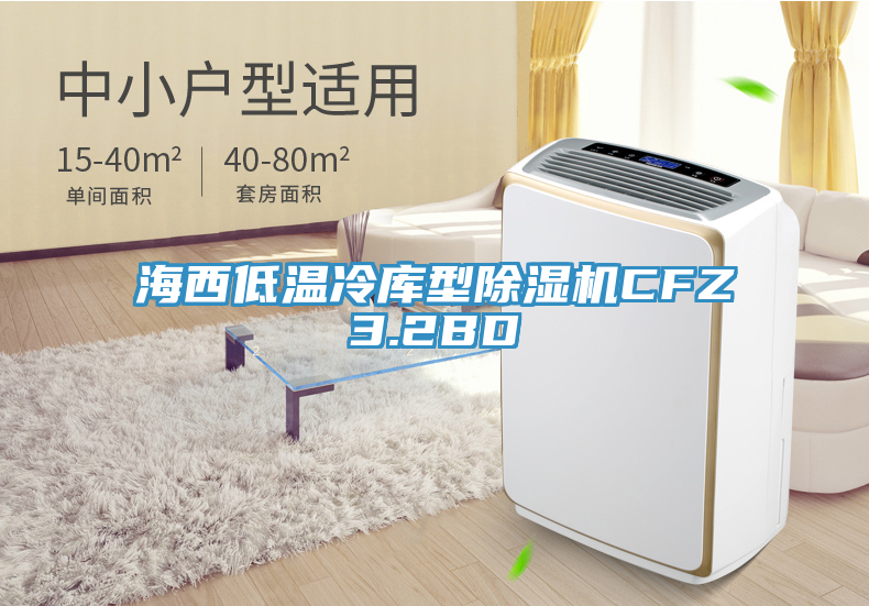 海西低溫冷庫(kù)型除濕機(jī)CFZ3.2BD