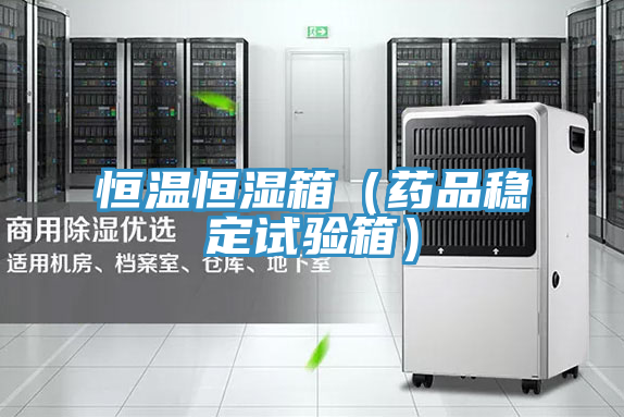 恒溫恒濕箱(藥品穩定試驗箱)