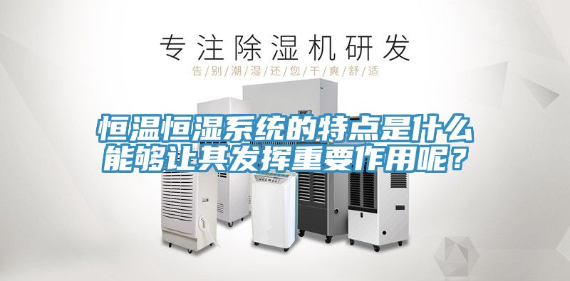恒溫恒濕系統的特點是什么能夠讓其發揮重要作用呢？