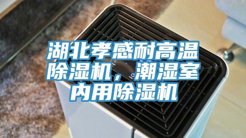 湖北孝感耐高溫除濕機(jī),潮濕室內(nèi)用除濕機(jī)