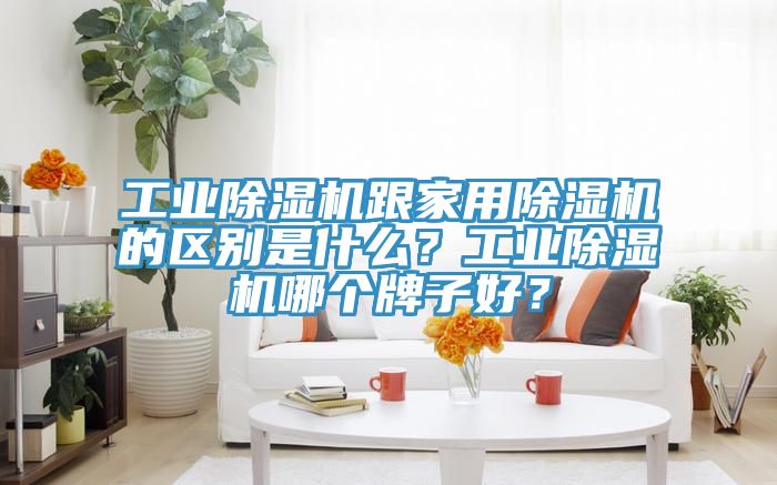 工業(yè)除濕機(jī)跟家用除濕機(jī)的區(qū)別是什么？工業(yè)除濕機(jī)哪個牌子好？