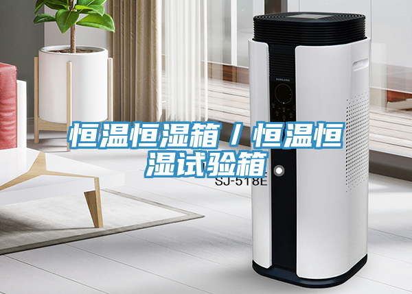 恒溫恒濕箱/恒溫恒濕試驗箱