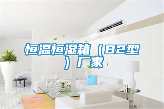 恒溫恒濕箱(B2型)廠家