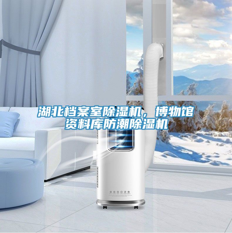 湖北檔案室除濕機，博物館資料庫防潮除濕機
