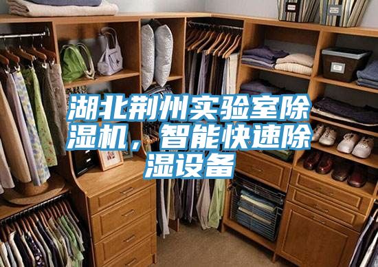 湖北荊州實驗室除濕機，智能快速除濕設備