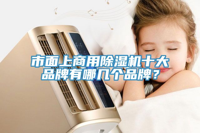 市面上商用除濕機十大品牌有哪幾個品牌？