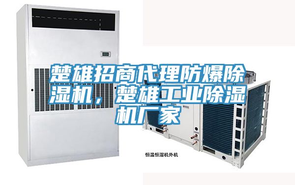 楚雄招商代理防爆除濕機(jī),楚雄工業(yè)除濕機(jī)廠家