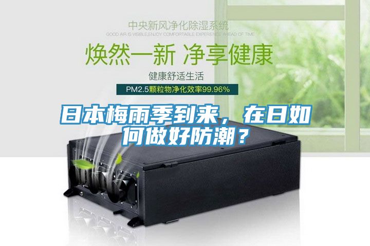 日本梅雨季到來,在日如何做好防潮?