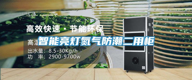 智能亮燈氮?dú)夥莱倍霉?></div>
								<div   id=