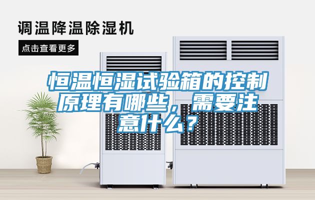 恒溫恒濕試驗箱的控制原理有哪些,需要注意什么?