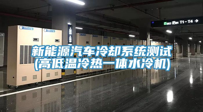 新能源汽車(chē)?yán)鋮s系統(tǒng)測(cè)試(高低溫冷熱一體水冷機(jī))