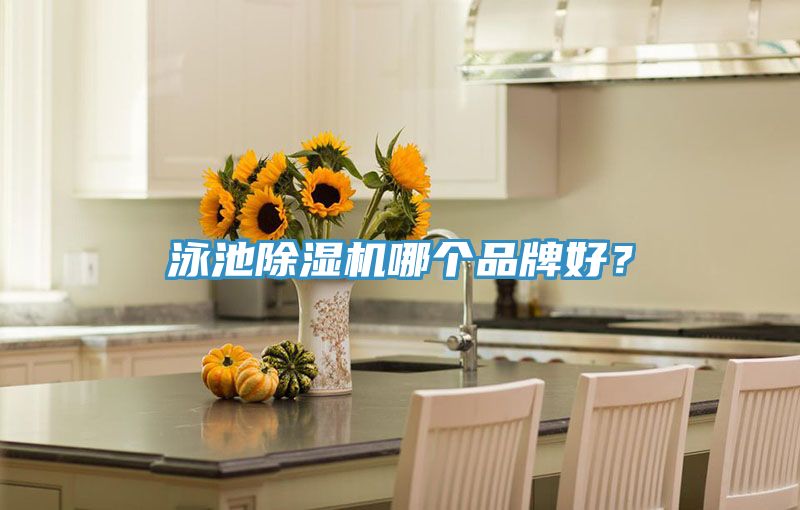 泳池除濕機(jī)哪個(gè)品牌好?
