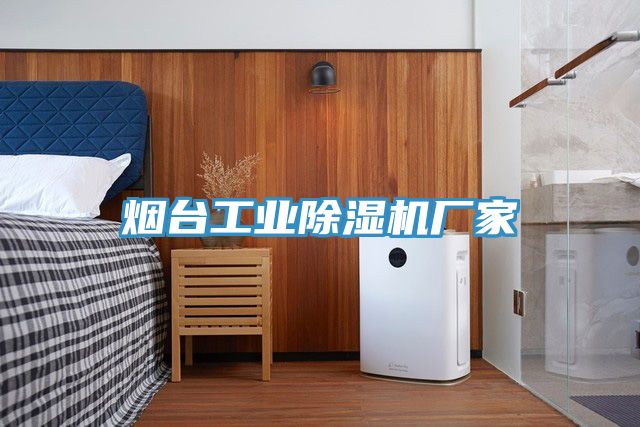 煙臺工業(yè)除濕機(jī)廠家