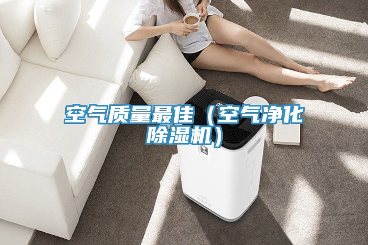 空氣質量最佳(空氣凈化除濕機)