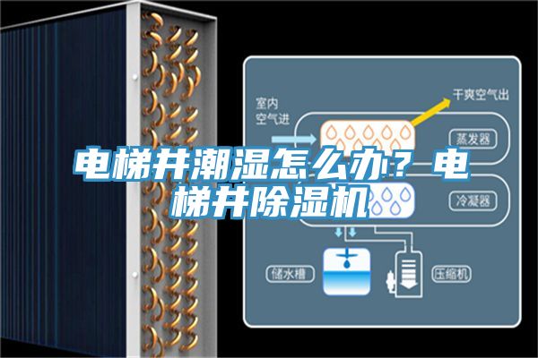 電梯井潮濕怎么辦?電梯井除濕機
