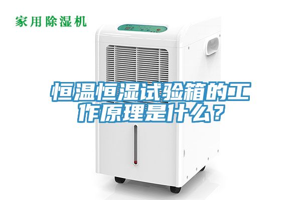 恒溫恒濕試驗箱的工作原理是什么？