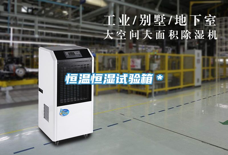 恒溫恒濕試驗箱*